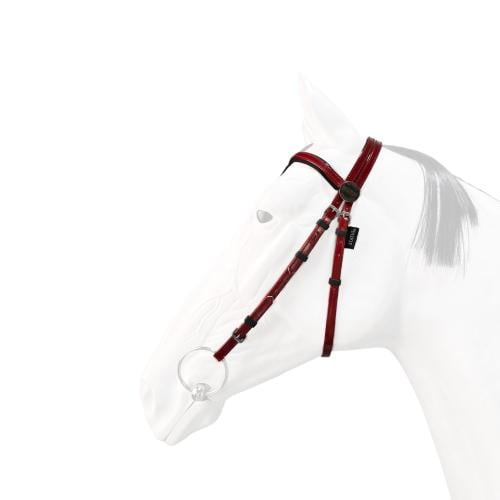 راسية لجام STATUS