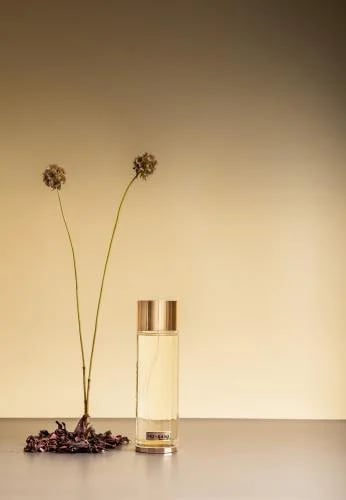 عطر الرئيس - مشاعر