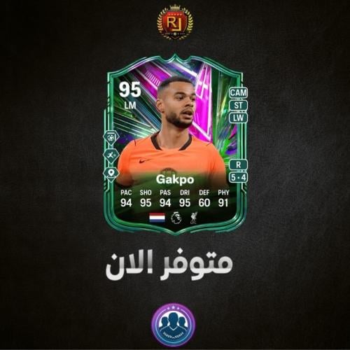 تحدي جاكبو ( شامل الشحن )