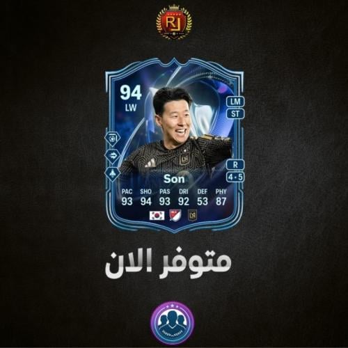 تحدي سون ( شامل الشحن )