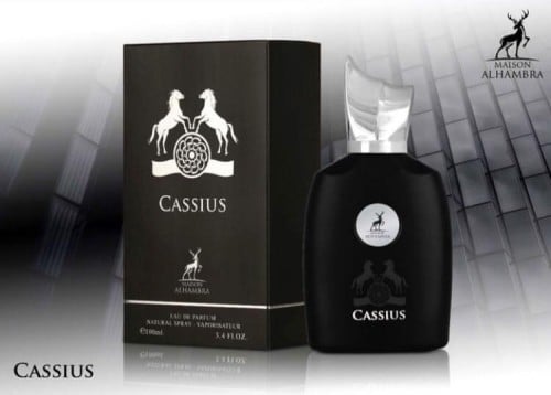 عطر كاسيوس -100مل (Cassius)