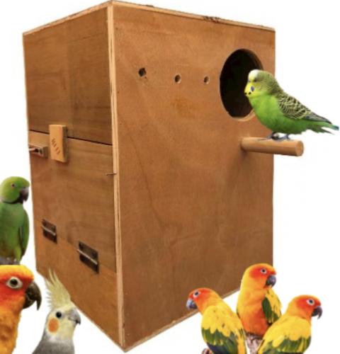 بياضة خشبية كبيرة