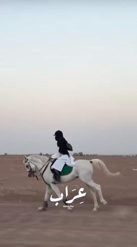رداء الفارسات اليومي 203