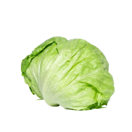 خس امريكي - حبة