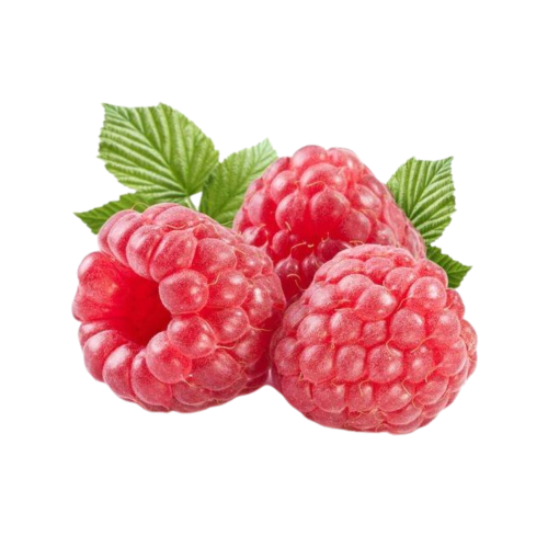 توت احمر - علبة 170 جرام