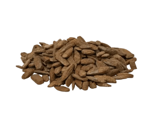 عرض عود الأصالة