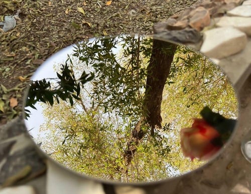 مرايا الورود الدائريه