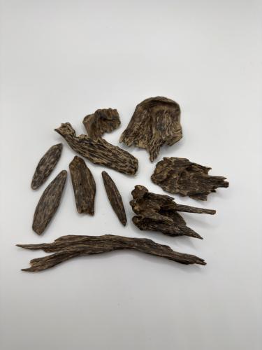عود سيلاني ( نوادر )