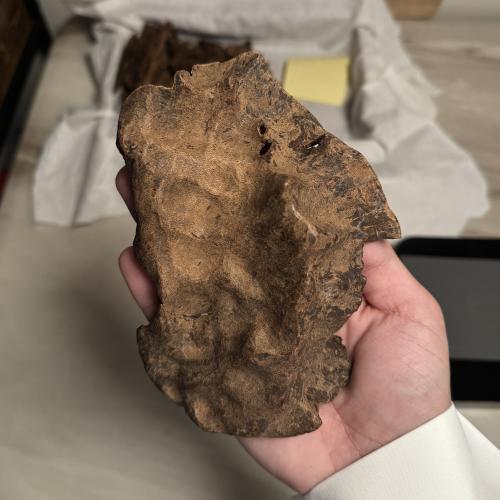 كسرة بورمي ( نوادر )