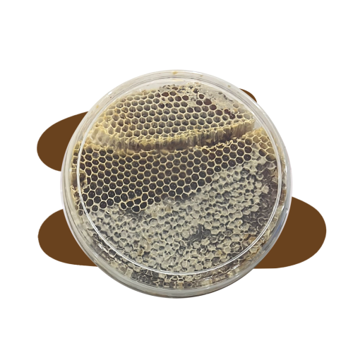 شمع عسل السمر البلدي (1كيلو ) متبلور طبيعيا