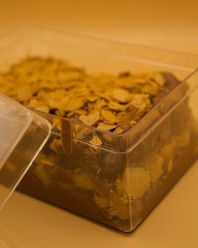 كوكودينغ | Cocoding