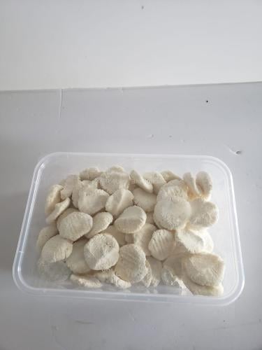 بقل غنم صغير