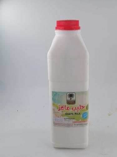 Bedouin goat milk