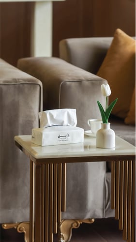 بكج مناديل 300 فائقة النعومة