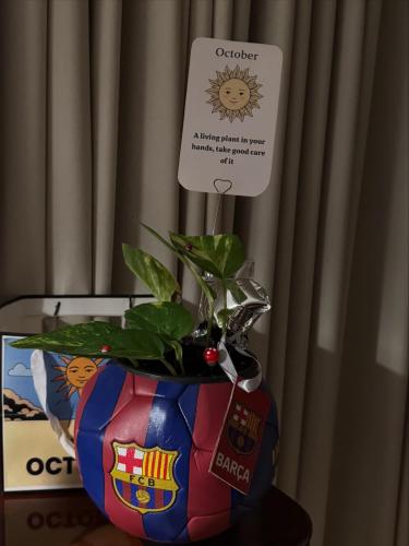 كورة برشلوناا