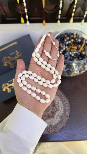 عظم جمل بيضاوي