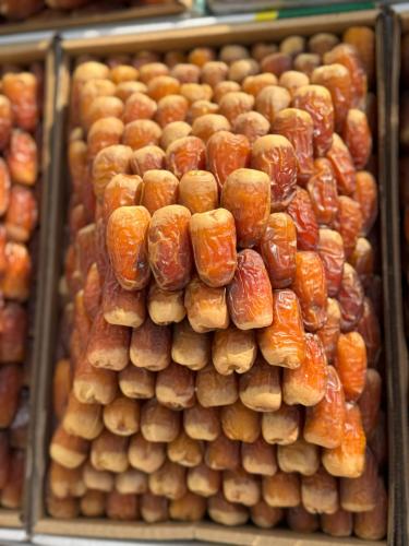 صقعي جامبو أهرام