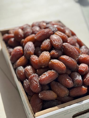 مجدول سوبر جامبو