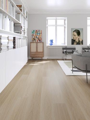 باركيه كلارا