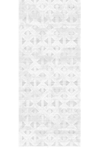 سجاد فيرونا