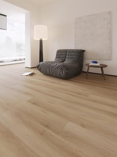 باركيه إيلاف