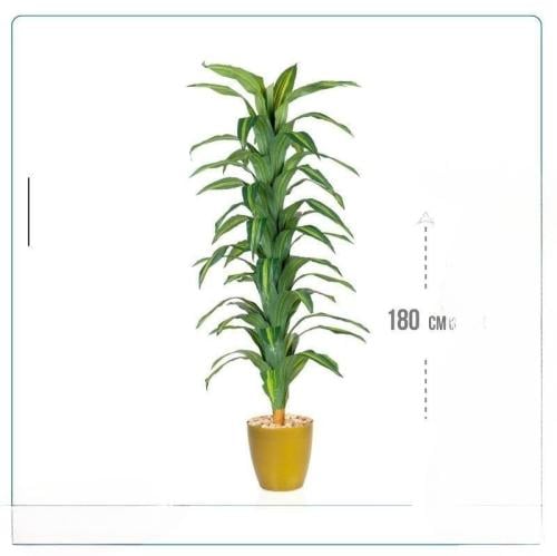 شجرة دراسينا صناعية طويلة (180 سم) بأوراق مخططة وح...