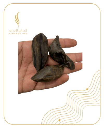 مروكي الماهر