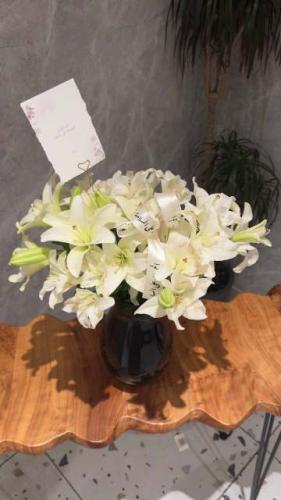 فازة ليلي بيضاء للسلامة