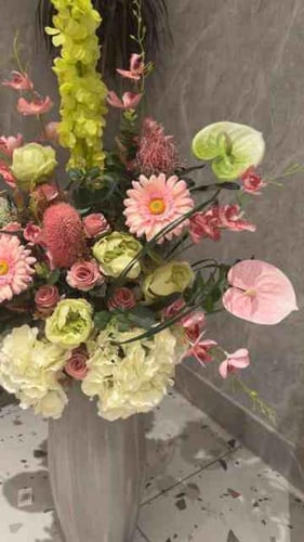 فازة أنغامي