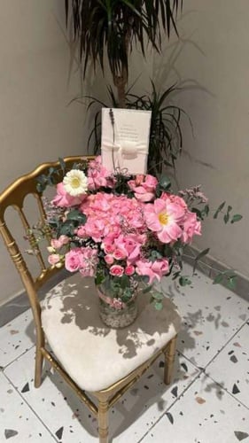 فازة نعومة الربيع