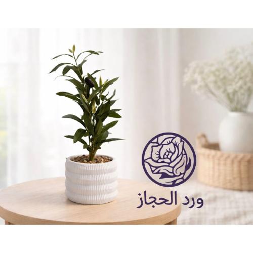 شتلات - 381