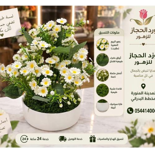 تنسيق -317