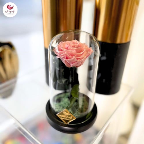 هدايا ورد دائم طبيعي - حجم كبير