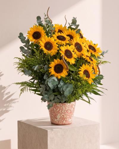 فازة Sun Flowers