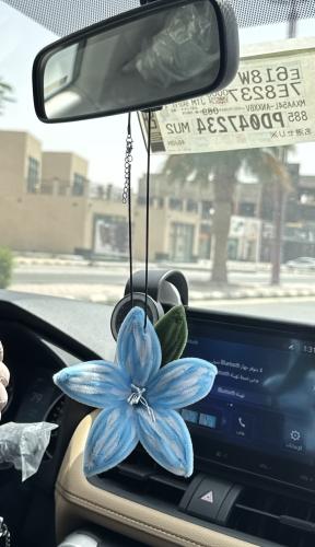 Candy medal for car