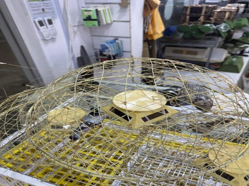 قرشع على الطاقة الشمسية