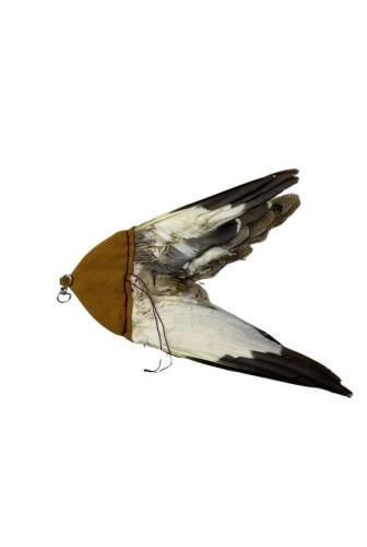 ملواح حبارى