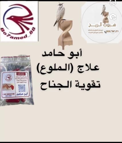 علاج الملوع تقوية الجناح ابو حامد