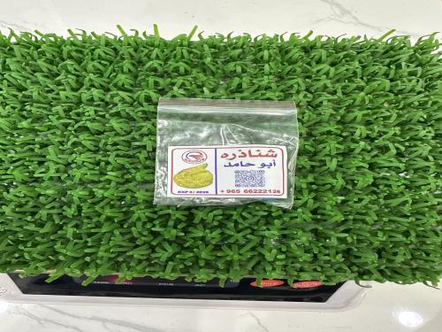 شناذره ابو حامد