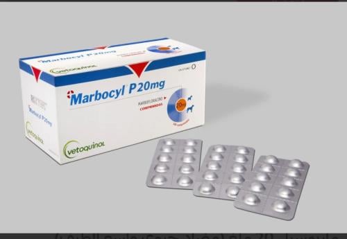 ماربوسيل 20 ملغ (مضاد حيوي واسع الطيف)