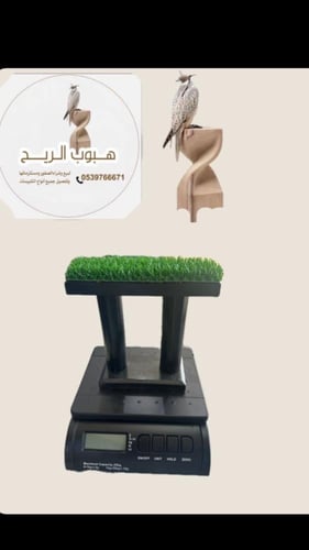 ميزان أسود كبير