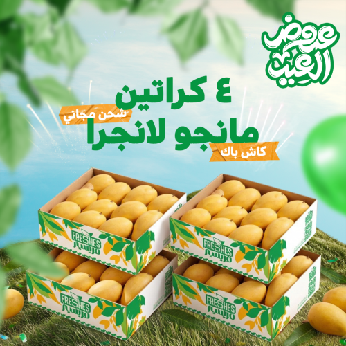4 كراتين مانجو لانجرا
