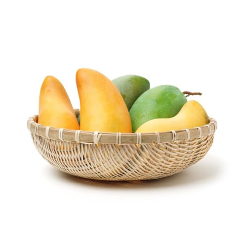 مانجو لانجرا