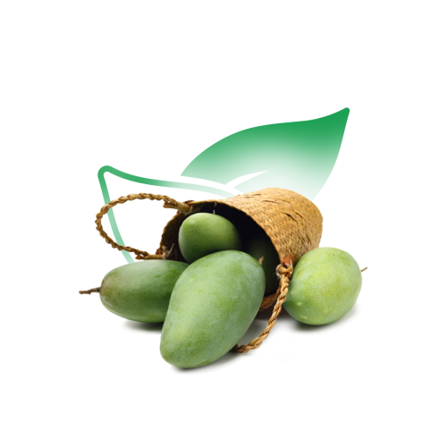 مانجو زبدة 1