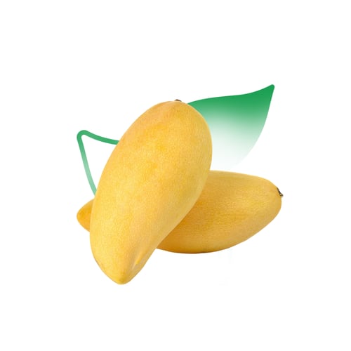 مانجو لانجرا