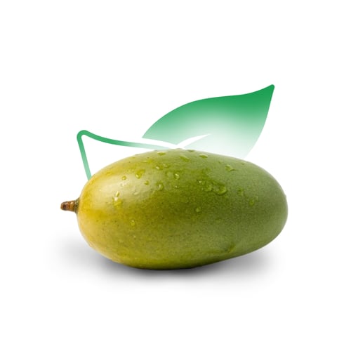 مانجو زبدة 1