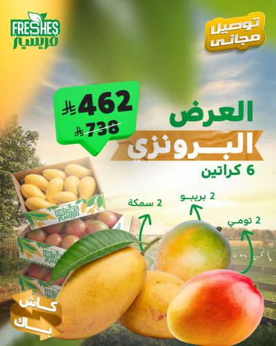 العرض البرونزي