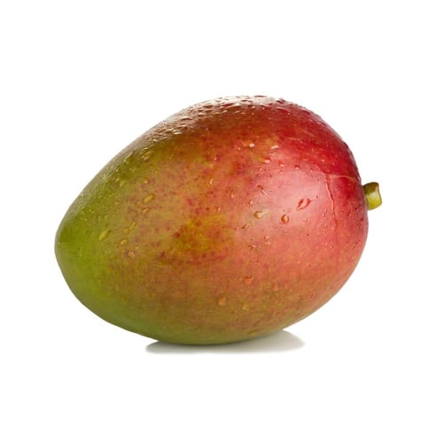 مانجو سنسيشن