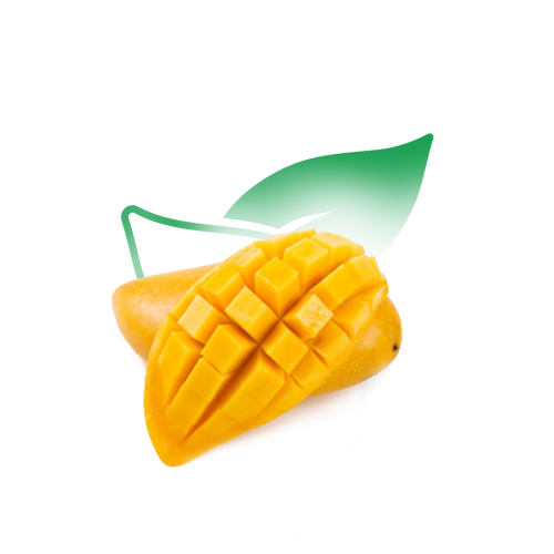 مانجو لانجرا