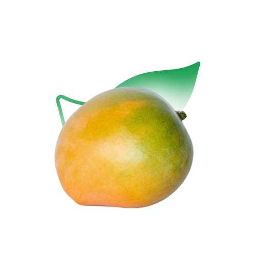 مانجو بريبو